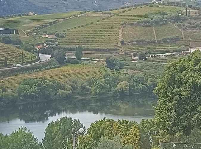 Casamaedouro1 Apartment